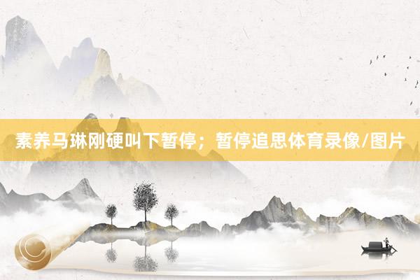 素养马琳刚硬叫下暂停；暂停追思体育录像/图片