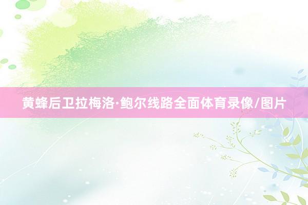 黄蜂后卫拉梅洛·鲍尔线路全面体育录像/图片