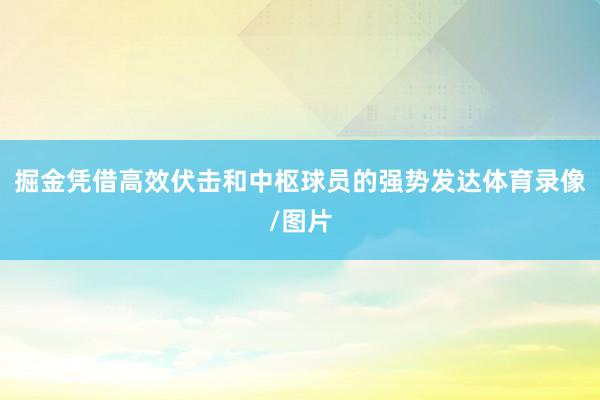 掘金凭借高效伏击和中枢球员的强势发达体育录像/图片