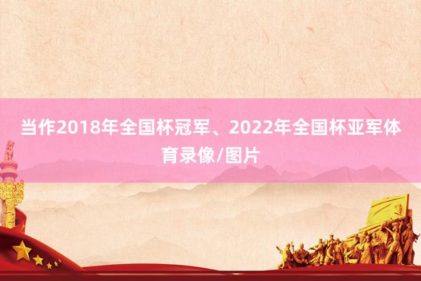 当作2018年全国杯冠军、2022年全国杯亚军体育录像/图片