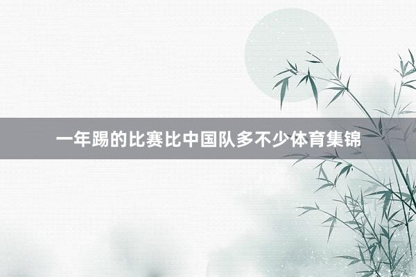 一年踢的比赛比中国队多不少体育集锦