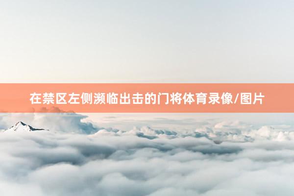 在禁区左侧濒临出击的门将体育录像/图片