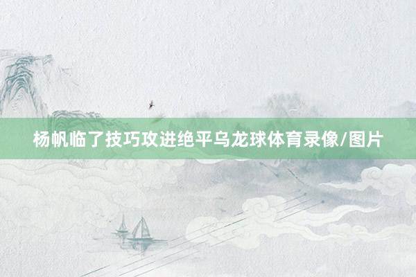杨帆临了技巧攻进绝平乌龙球体育录像/图片