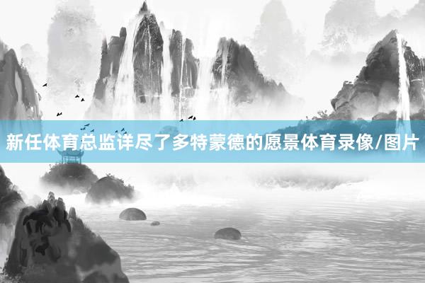 新任体育总监详尽了多特蒙德的愿景体育录像/图片