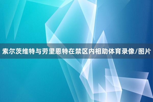 索尔茨维特与劳里恩特在禁区内相助体育录像/图片