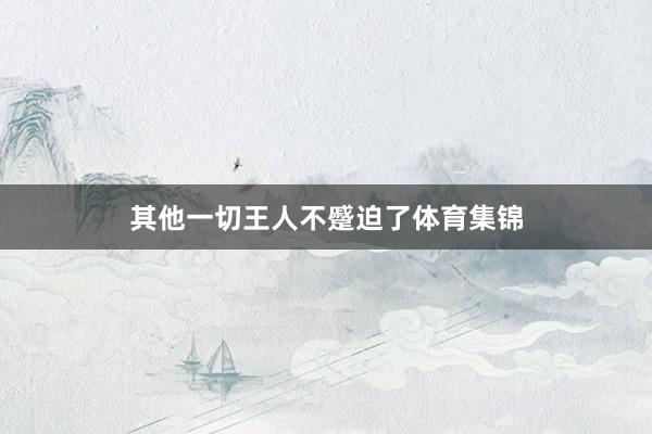 其他一切王人不蹙迫了体育集锦
