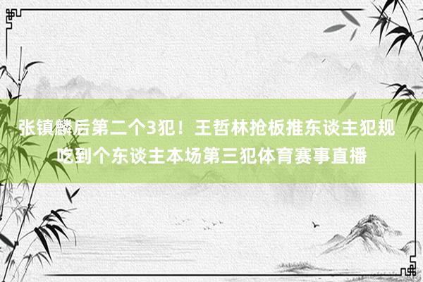 张镇麟后第二个3犯！王哲林抢板推东谈主犯规  吃到个东谈主本场第三犯体育赛事直播