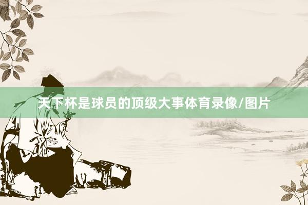 天下杯是球员的顶级大事体育录像/图片