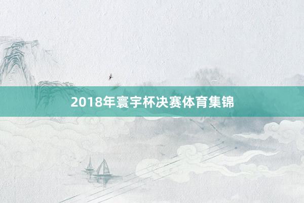 2018年寰宇杯决赛体育集锦