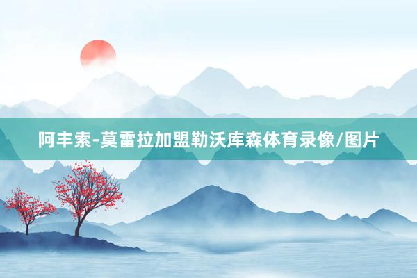 阿丰索-莫雷拉加盟勒沃库森体育录像/图片